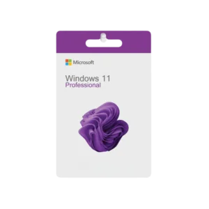 Microsoft Windows 11 Professional | 1 PC