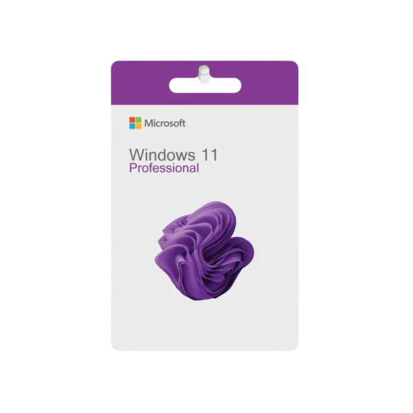 Microsoft Windows 11 Professional | 1 PC